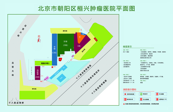 摸bb穴视频北京市朝阳区桓兴肿瘤医院平面图